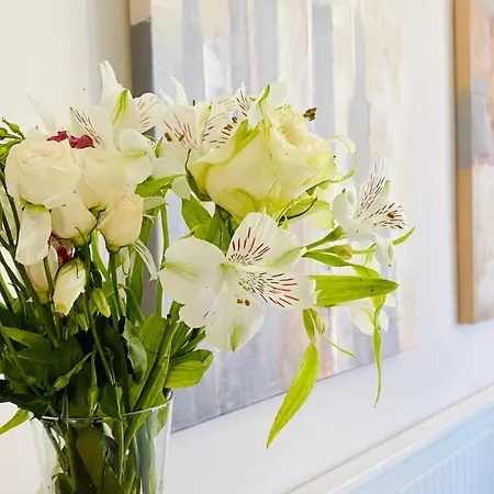 Apartament Apartello Modern - Casa Real In